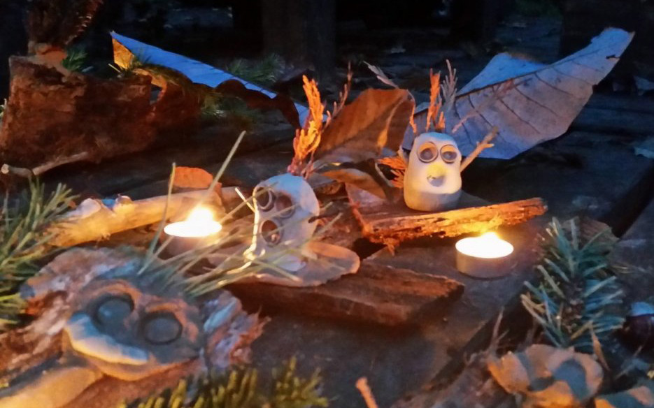 NACHTWALD - WALDGEISTER | AB 5 JAHREN