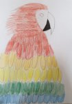 Kinderworkshop Zeichnen von Tieren im Kulturfenster Heidelberg - Beispiel Papagei