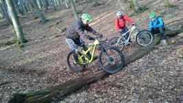Jugend-Workshop Mountainbike im Pfälzer Wald - Veranstalter: Kulturfenster Heidelberg